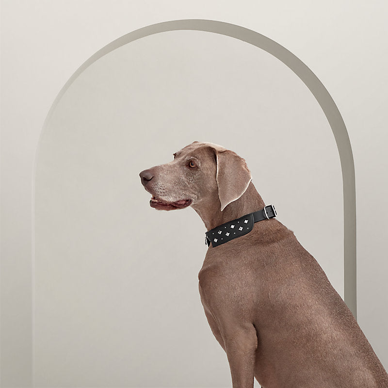 Black Tie dog collar, M and L