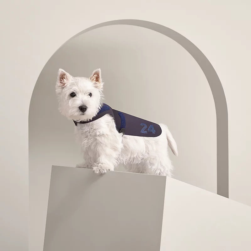 Course 24 dog raincoat, XS and Sellier