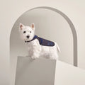 Course 24 dog raincoat, XS and Sellier