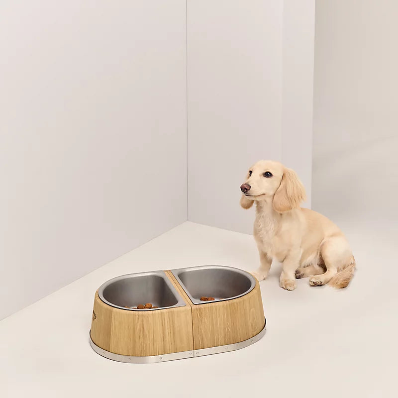 Dog bowl, L