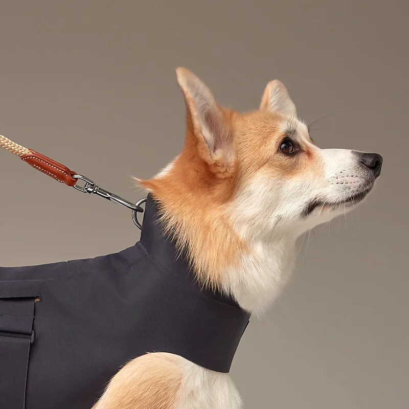 Dog raincoat, M and L