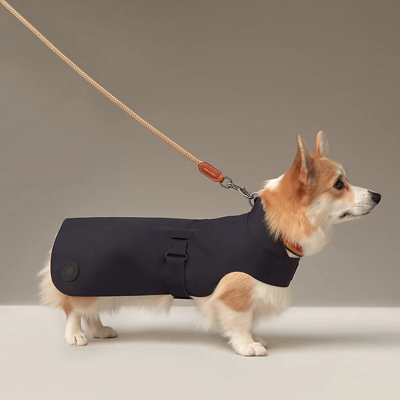 Dog raincoat, M and L