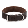 Padded Leather Dog Collar