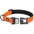 Breakaway Safety Dog Collar