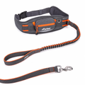 Hands-Free Jogging Dog Leash