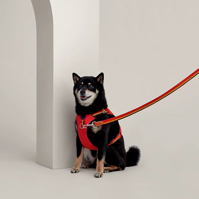 Jump dog harness, M and L