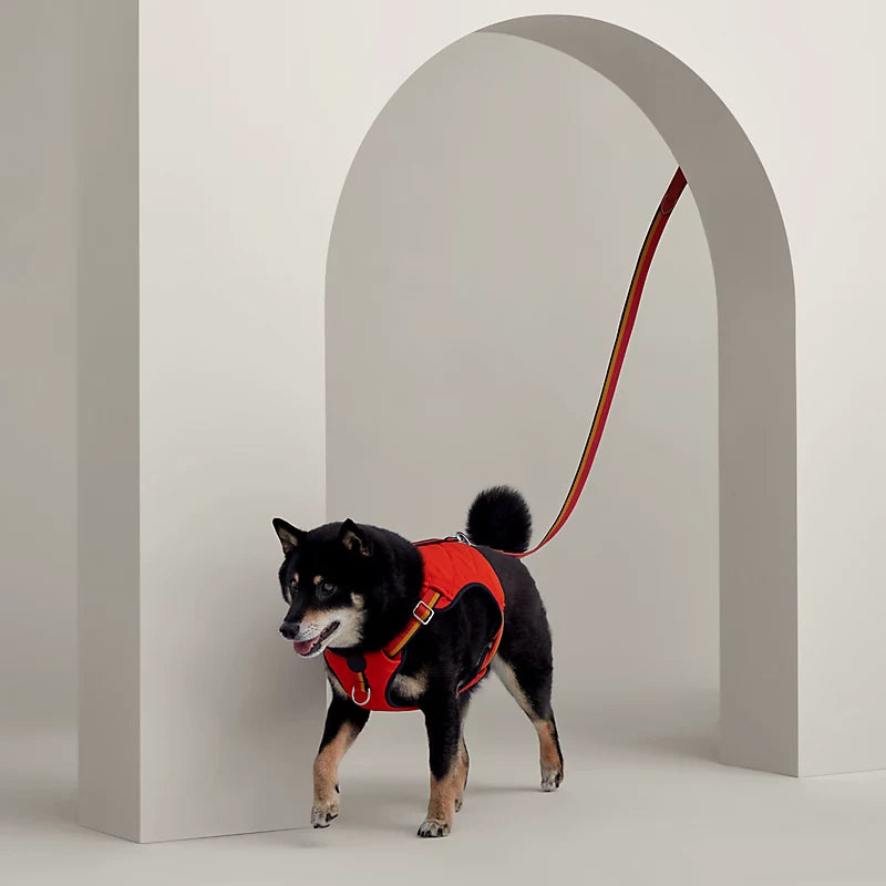 Jump dog harness, M and L
