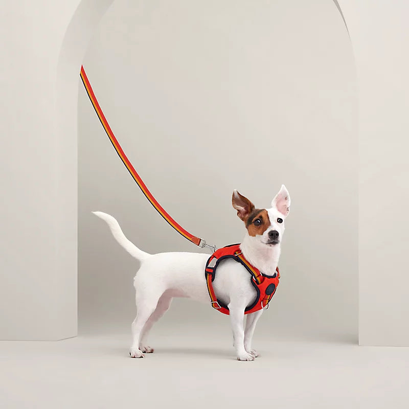 Jump dog harness, M and L