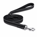 Reflective Night Walk Dog Leash
