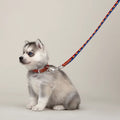 Medor slim dog leash