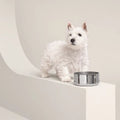 Punch dog bowl, small model