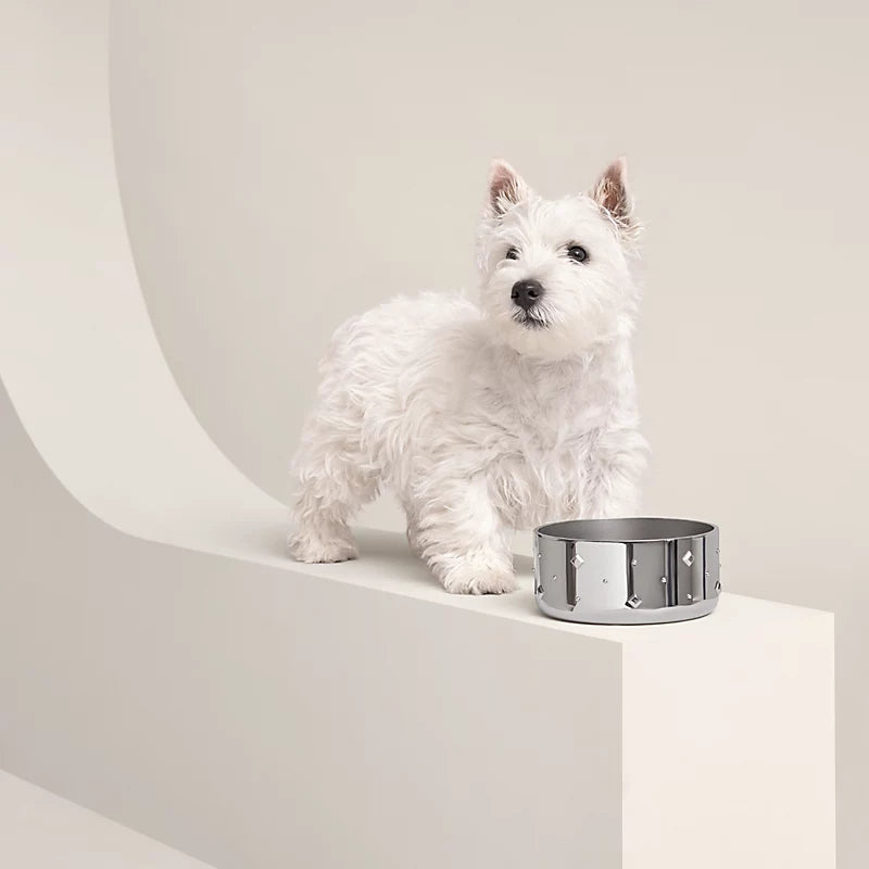 Punch dog bowl, small model