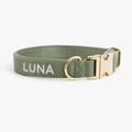 Personalized Embroidered Dog Collar