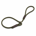 Slip Lead Dog Leash
