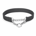 Martingale Training Dog Collar