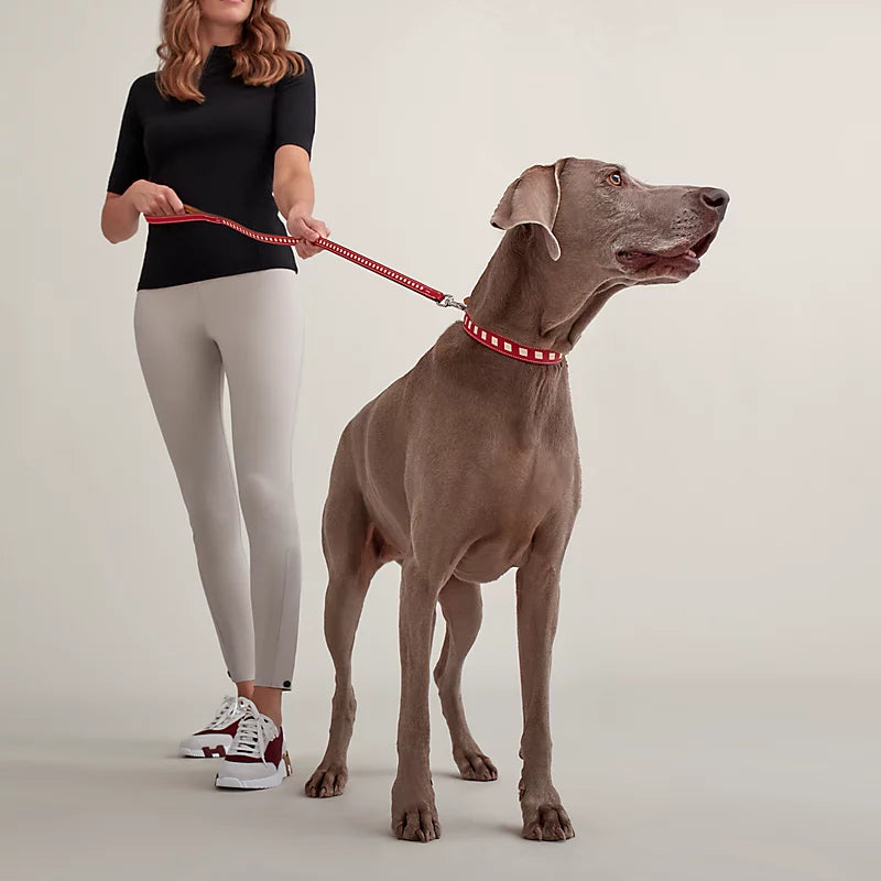 Tressee slim dog leash