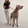 Tressee slim dog leash