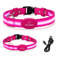 NightGlow LED Safety Dog Collar