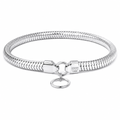 Snake Chain Silver Dog Collar