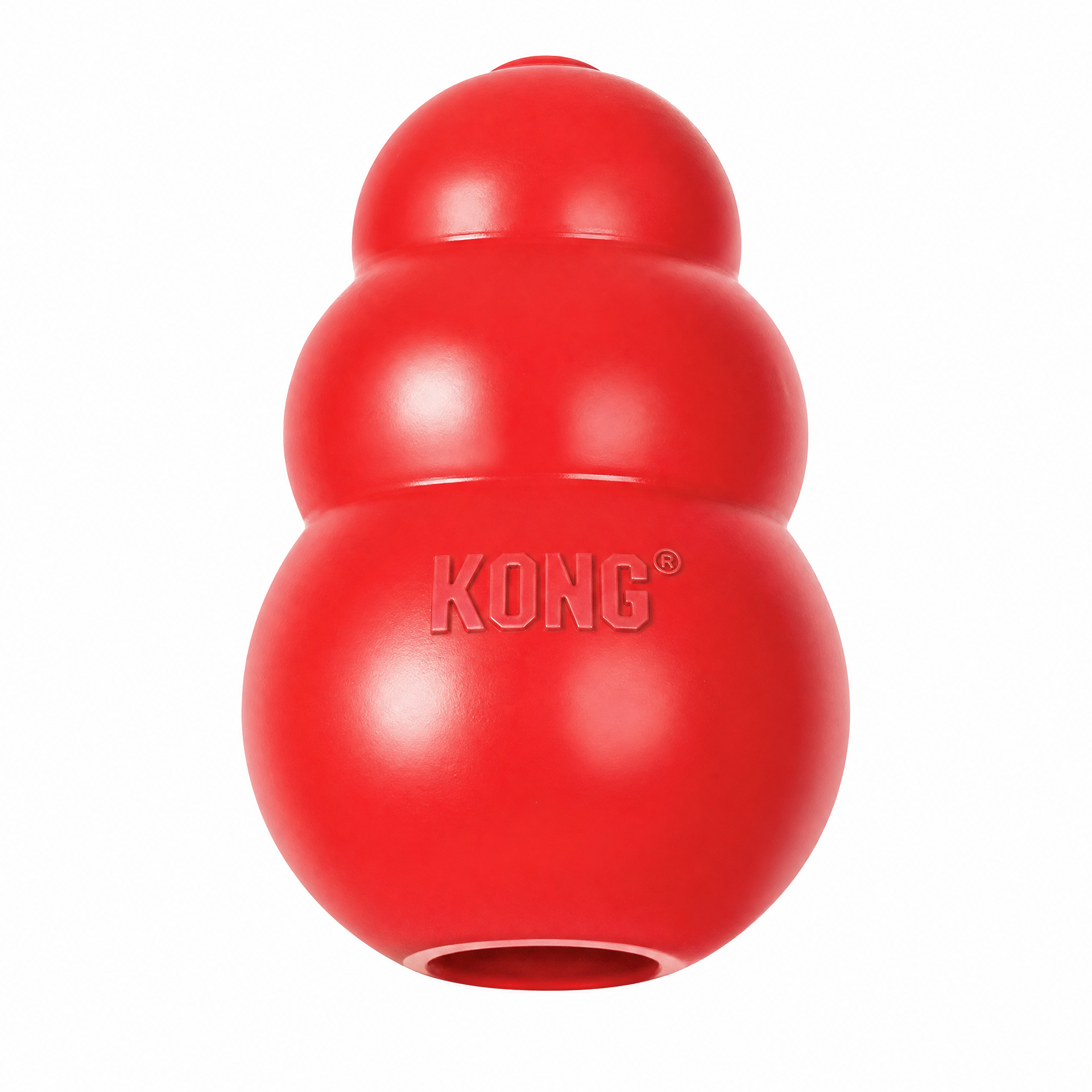 Classic Kong-Style Chew Toy