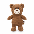 Plush Bear Squeaky Dog Toy