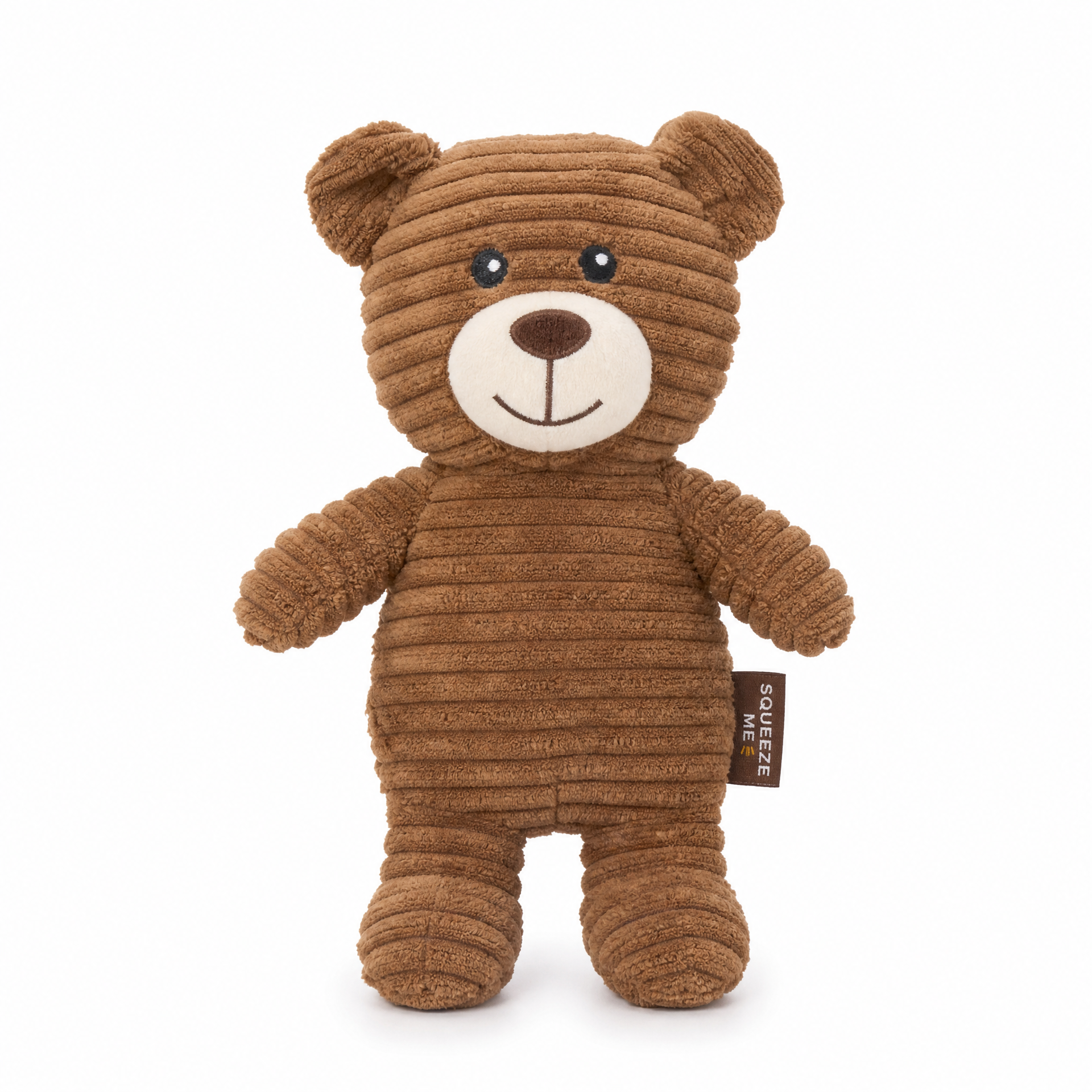 Plush Bear Squeaky Dog Toy